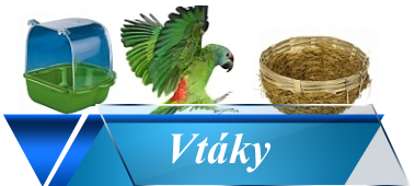 vtaky